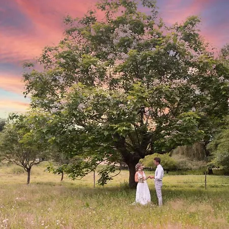 Moulin De Saint Avit *