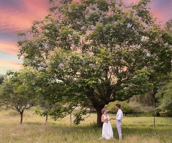 Moulin De Saint Avit *