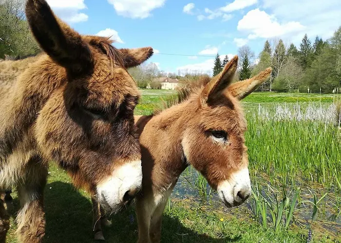 Moulin De Saint Avit Nocleg ze śniadaniem