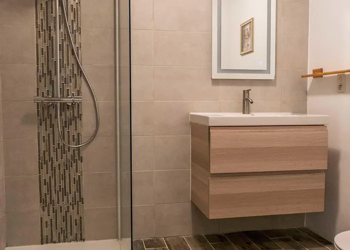 Moulin De Saint Avit *